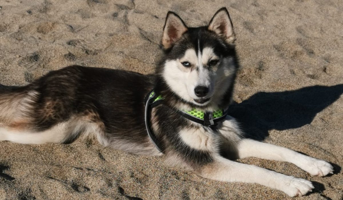 WhatsApp Image 2025-05-21 at 23.23.15